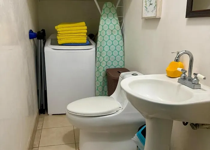 Tama Magico Tamarindo