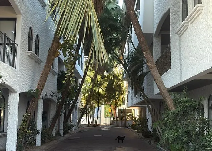 Tama Magico Apartamento